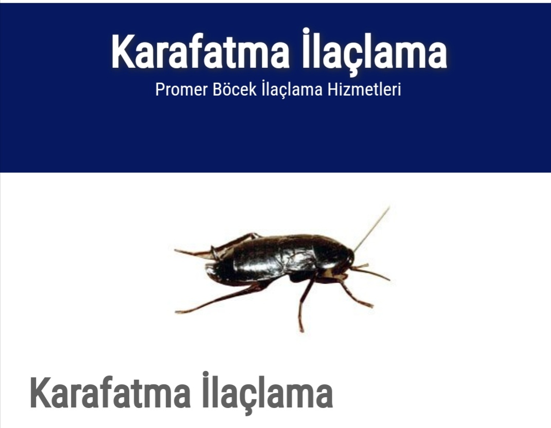 Karafatma ilaçlama 