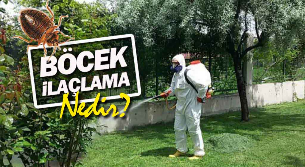 Böcek ilaçlama nedir ve böcek ilaçlama nasıl yapılır ?