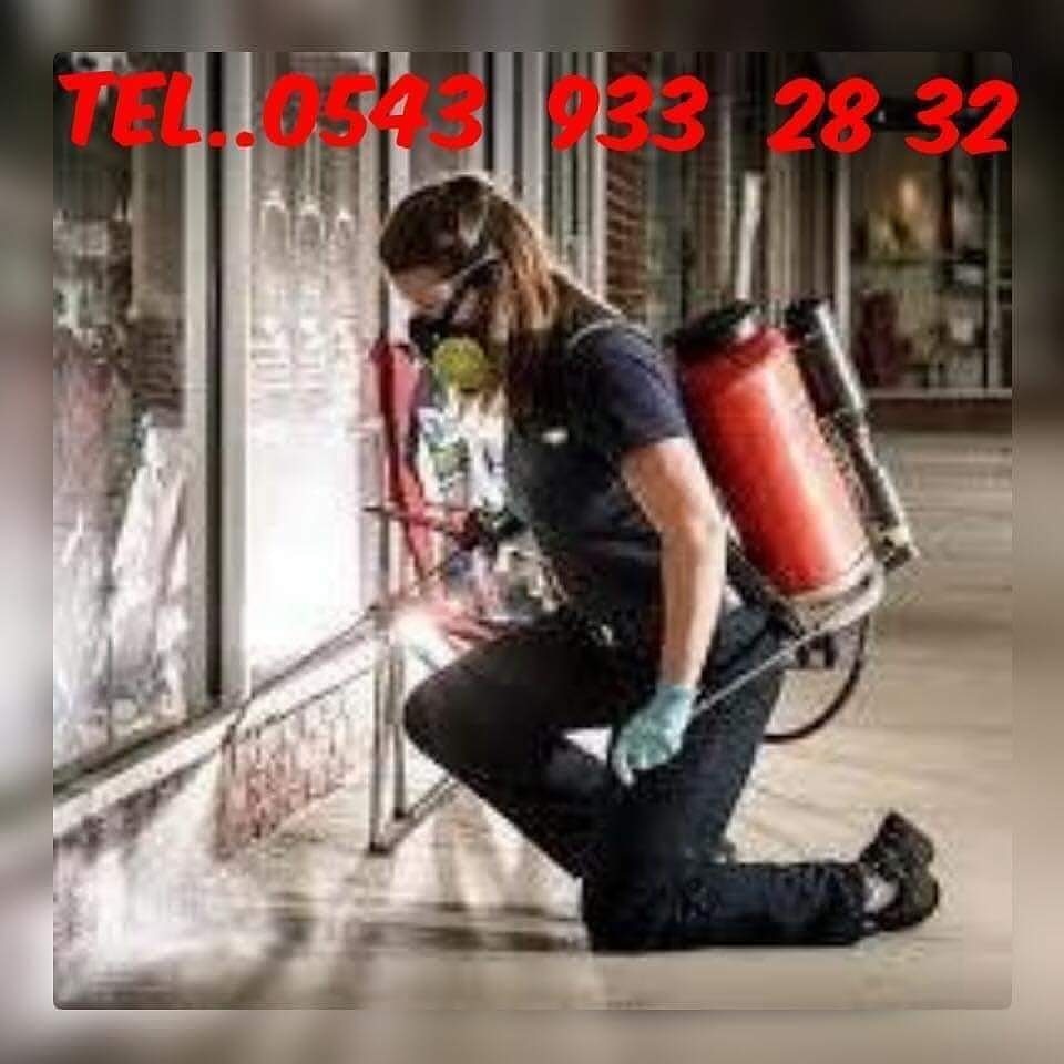 Velimese İlaçlama Servisi