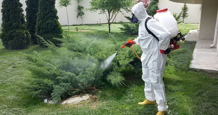 Beylikdüzü Böcek ilaçlama